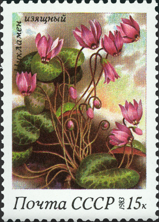 1983 5401 Цикламен изящный 15к
