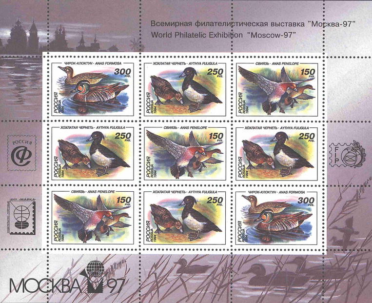 1994 170 Утки Свиязь 150р