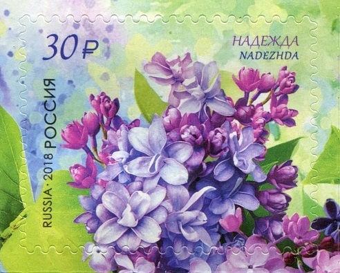2018 2328 Сирень Надежда 30р