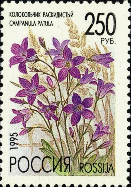 1995 216 Колокольчик раскидистый 250р