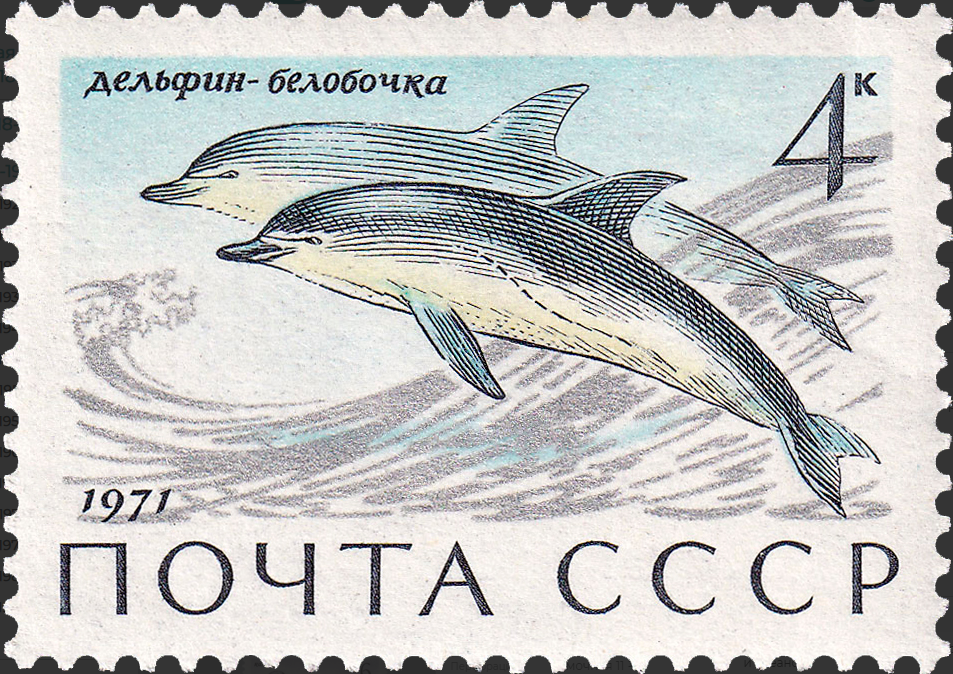 1971 4037 Дельфин-белобочка 4к