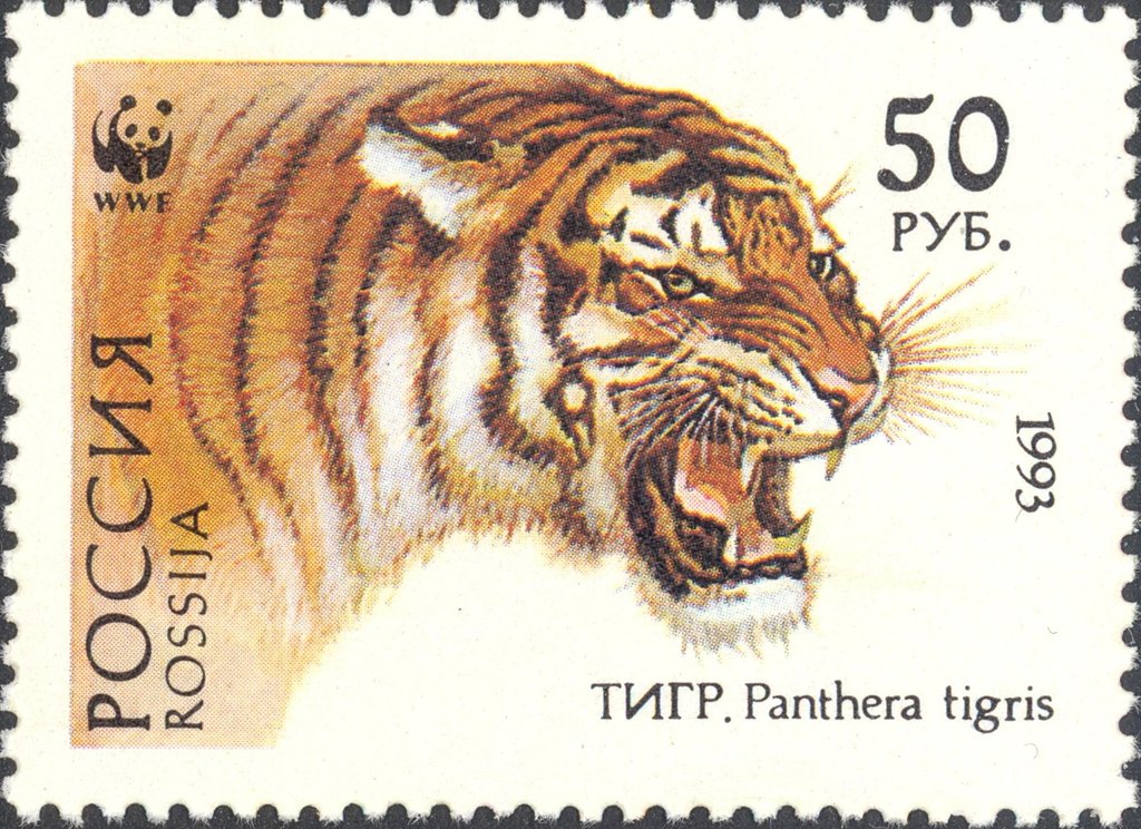 1993 124 Тигр 50р