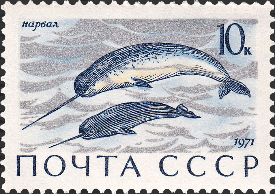 1971 4039 Нарвал 10к