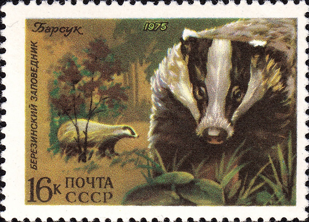 1975 4501 Барсук 16к