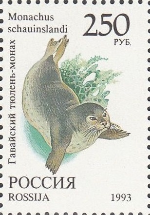 1993 0132 Гавайский тюлень-монах 250р