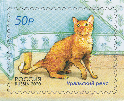 2020 2613 Кошка Уральский рекс 50р