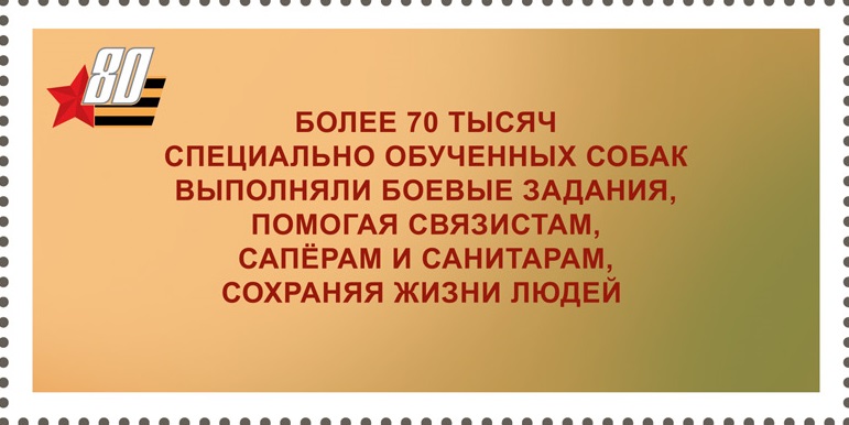 2025 3387 Собаки 33р