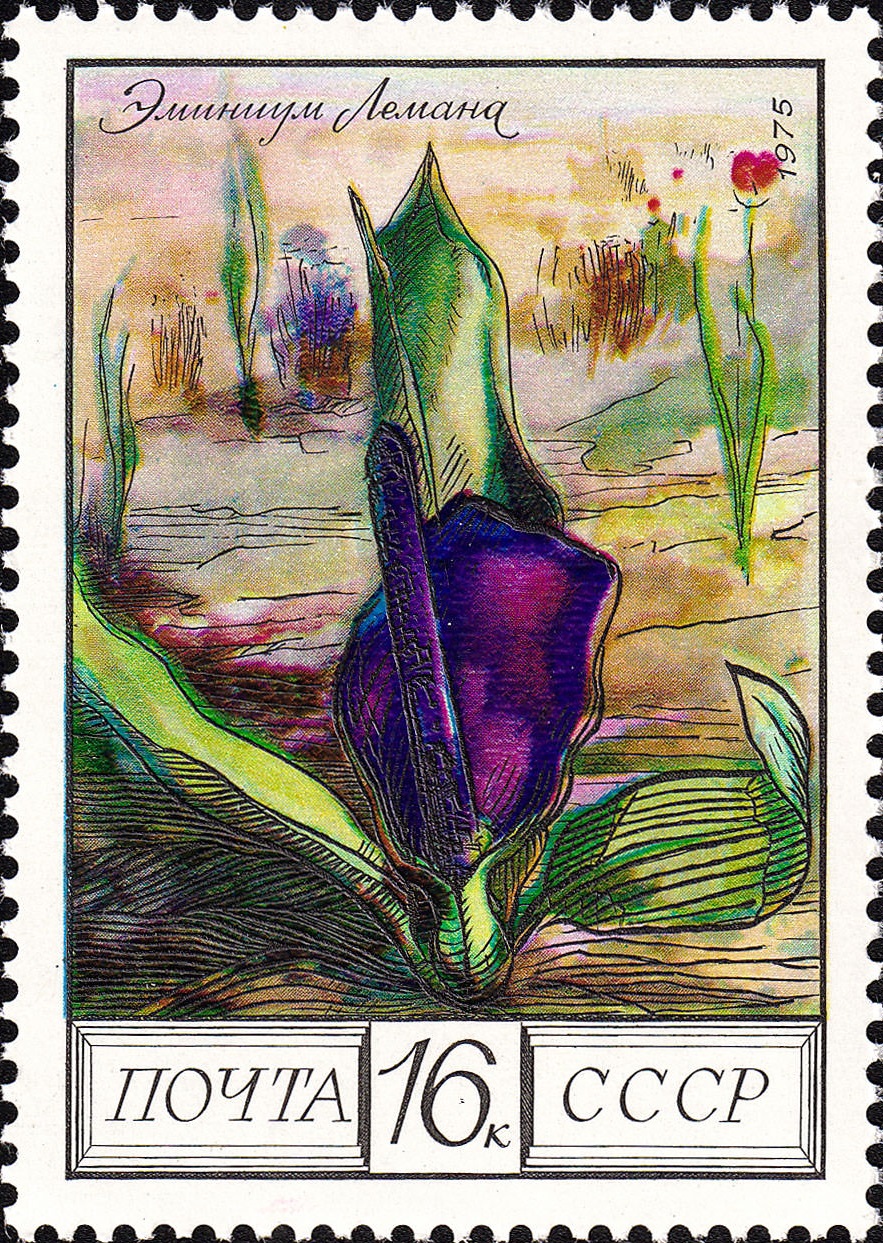 1975 4534 Эминиум Лемана 16к