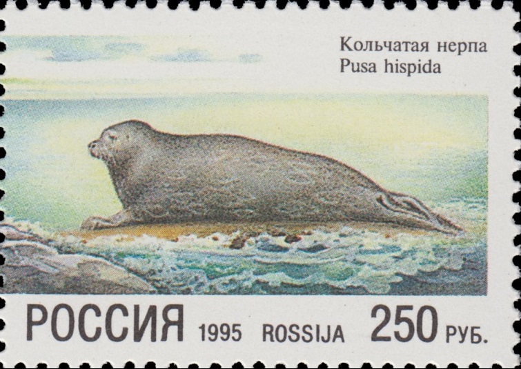 1995 204 Кольчатая нерпа 250р