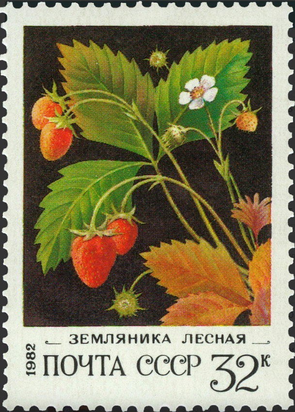 1982 5277 Земляника лесная 32к