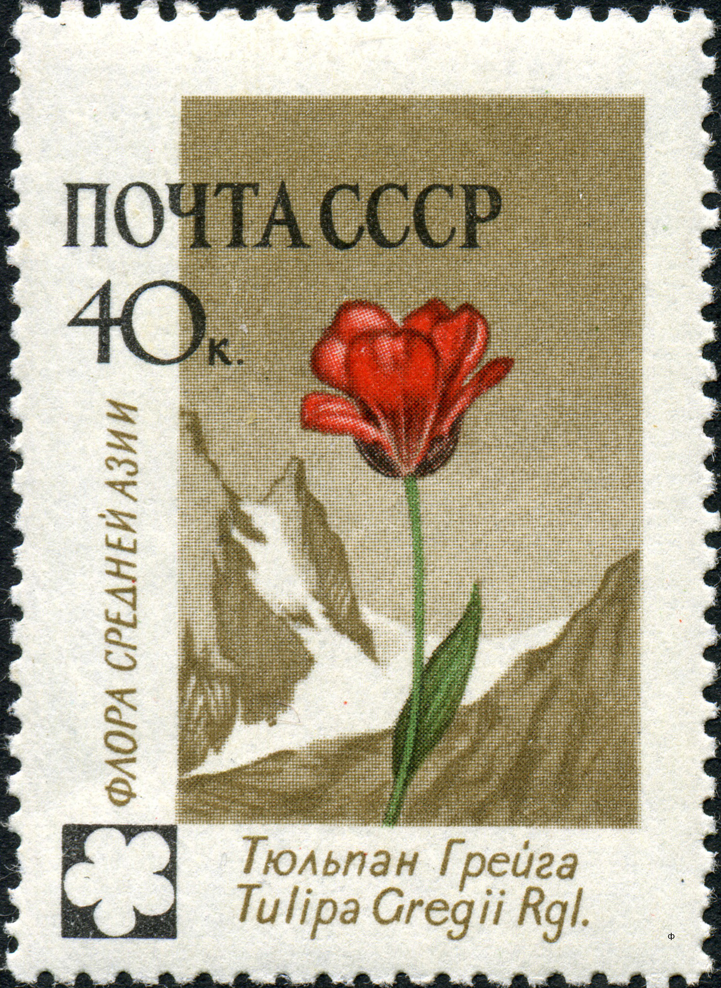 1960 2497 Тюльпан Грейга 40к