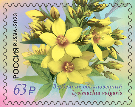 2023 3042 Вербейник обыкновенный 63р