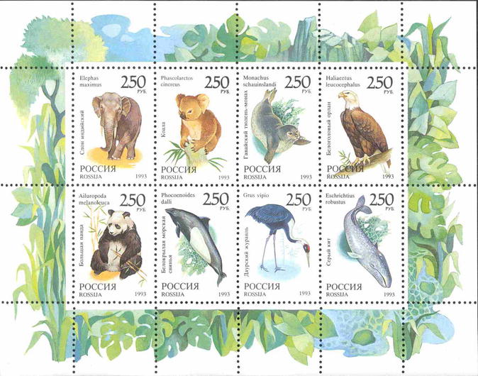 1993 0135 Белокрылая морская свинья 250р