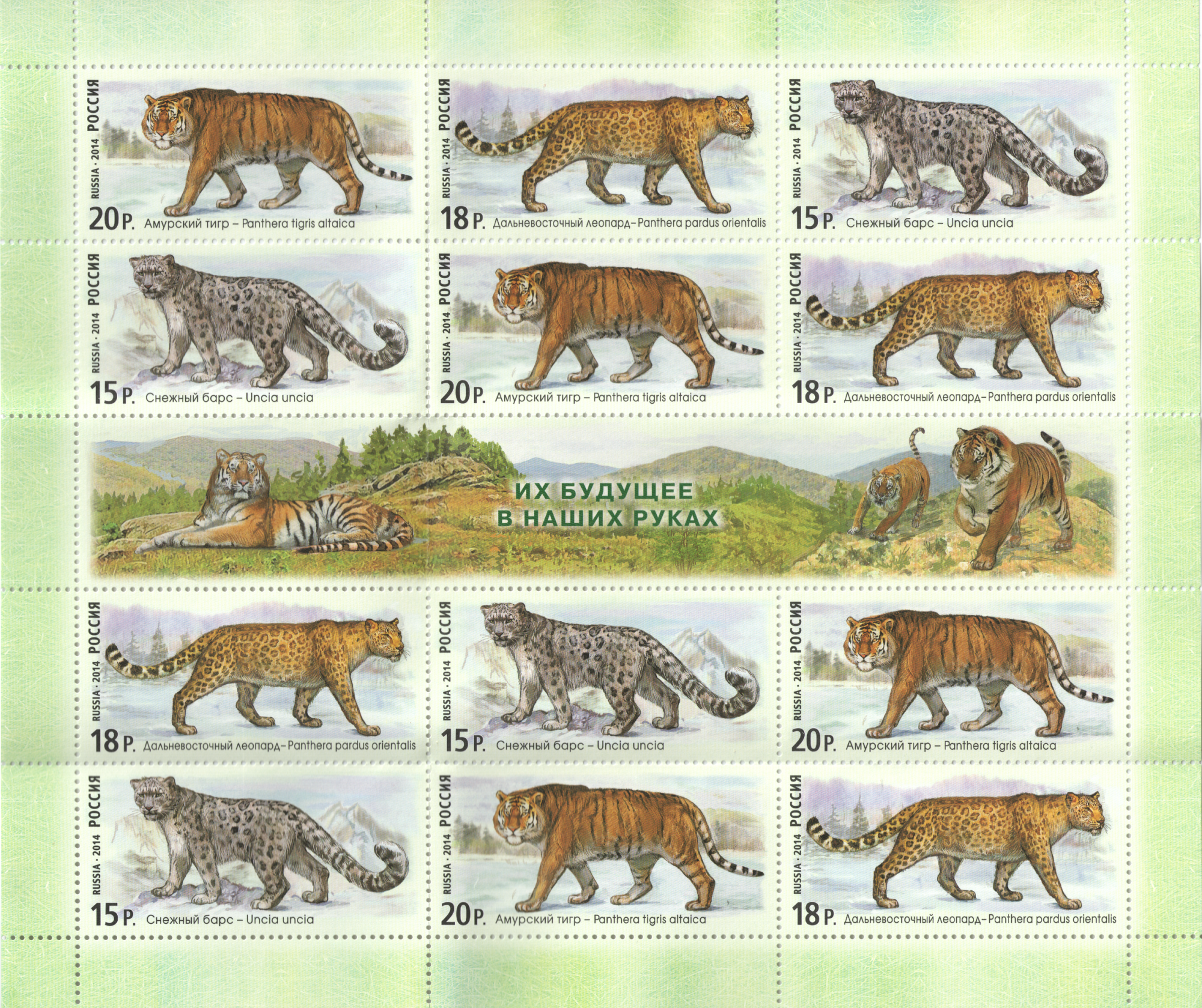 2014 1888 Снежный барс 15р